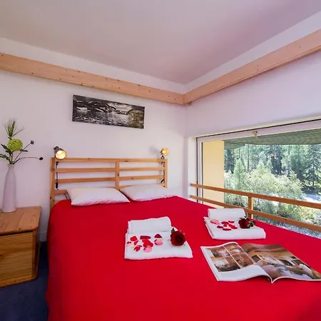 Sainte-foy-l'argentiere Sleeps 5 아파트